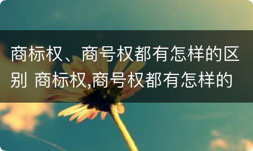商标权、商号权都有怎样的区别 商标权,商号权都有怎样的区别呢