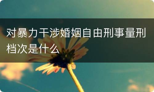 对暴力干涉婚姻自由刑事量刑档次是什么