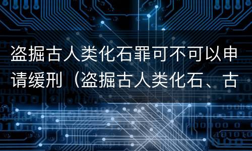 盗掘古人类化石罪可不可以申请缓刑（盗掘古人类化石、古脊椎动物化石罪）
