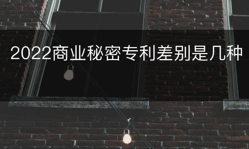 2022商业秘密专利差别是几种