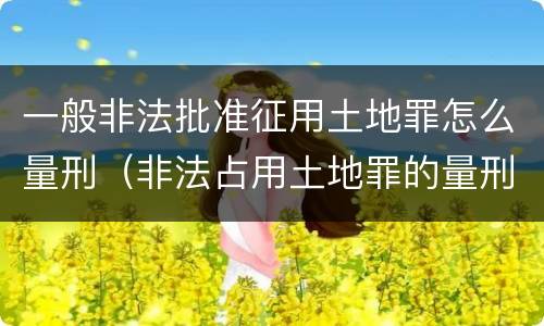 一般非法批准征用土地罪怎么量刑（非法占用土地罪的量刑）