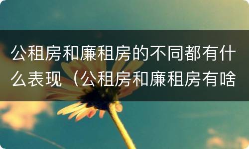 公租房和廉租房的不同都有什么表现（公租房和廉租房有啥不同）