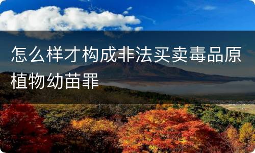 怎么样才构成非法买卖毒品原植物幼苗罪