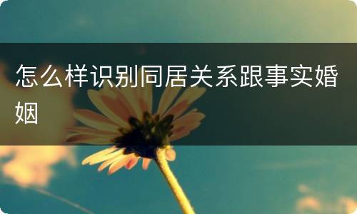怎么样识别同居关系跟事实婚姻