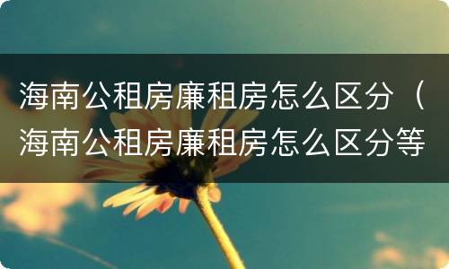 海南公租房廉租房怎么区分（海南公租房廉租房怎么区分等级）