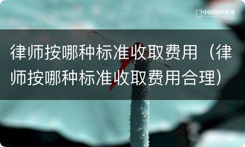 律师按哪种标准收取费用（律师按哪种标准收取费用合理）