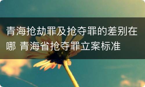 青海抢劫罪及抢夺罪的差别在哪 青海省抢夺罪立案标准