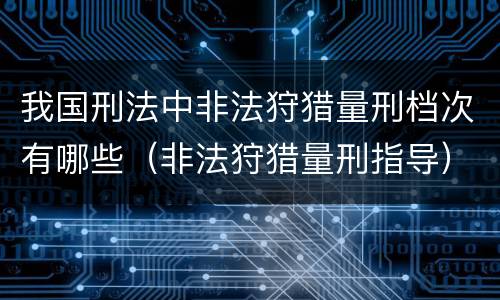 我国刑法中非法狩猎量刑档次有哪些（非法狩猎量刑指导）