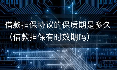 借款担保协议的保质期是多久（借款担保有时效期吗）