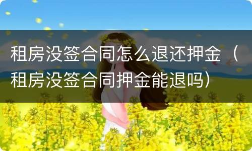 租房没签合同怎么退还押金（租房没签合同押金能退吗）