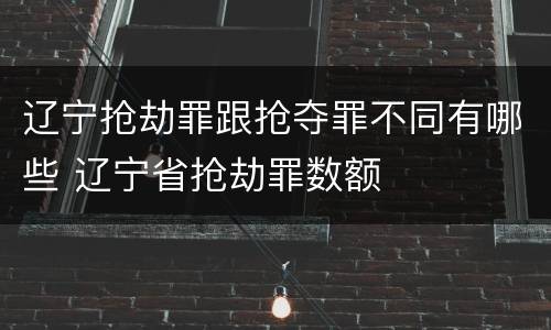 辽宁抢劫罪跟抢夺罪不同有哪些 辽宁省抢劫罪数额