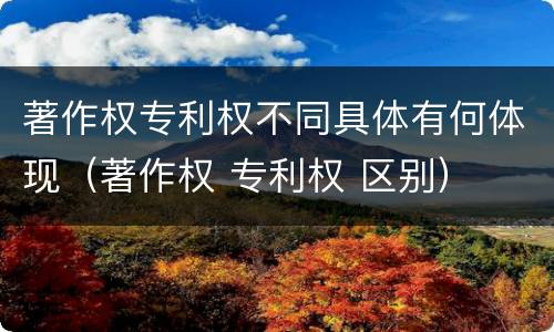 著作权专利权不同具体有何体现（著作权 专利权 区别）