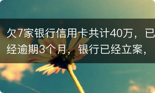 欠7家银行信用卡共计40万，已经逾期3个月，银行已经立案，请问我被判刑几年