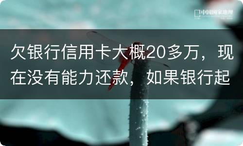 欠银行信用卡大概20多万，现在没有能力还款，如果银行起诉，法院会怎么判决，如果强
