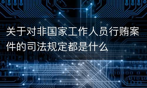 关于对非国家工作人员行贿案件的司法规定都是什么