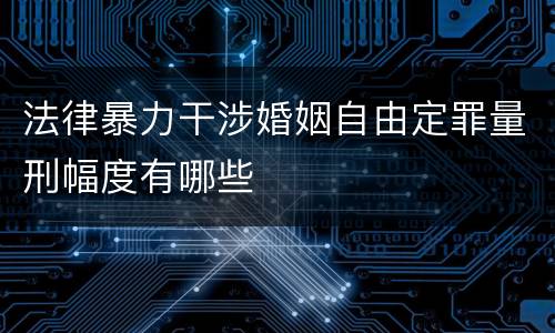 法律暴力干涉婚姻自由定罪量刑幅度有哪些