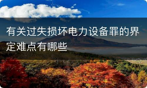 有关过失损坏电力设备罪的界定难点有哪些