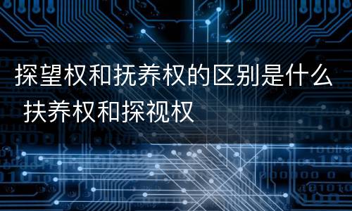 探望权和抚养权的区别是什么 扶养权和探视权