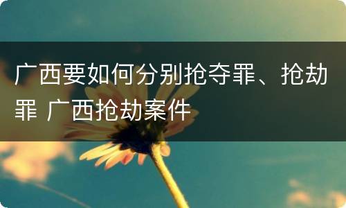 广西要如何分别抢夺罪、抢劫罪 广西抢劫案件