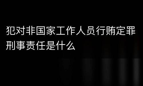 犯对非国家工作人员行贿定罪刑事责任是什么