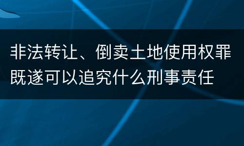 非法转让、倒卖土地使用权罪既遂可以追究什么刑事责任