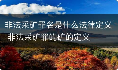 非法采矿罪名是什么法律定义 非法采矿罪的矿的定义