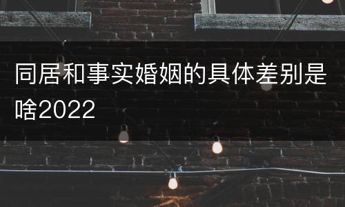 同居和事实婚姻的具体差别是啥2022