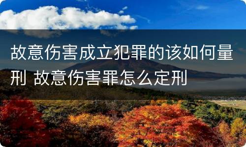 故意伤害成立犯罪的该如何量刑 故意伤害罪怎么定刑