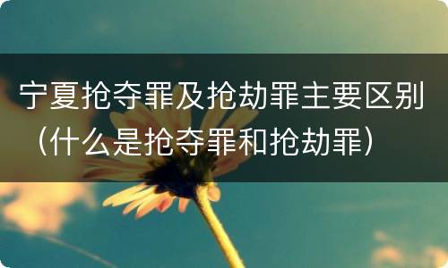 宁夏抢夺罪及抢劫罪主要区别（什么是抢夺罪和抢劫罪）