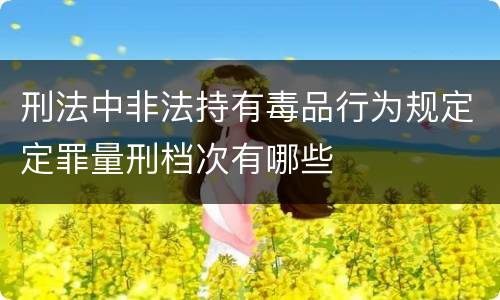 刑法中非法持有毒品行为规定定罪量刑档次有哪些