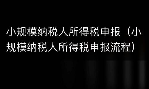 小规模纳税人所得税申报（小规模纳税人所得税申报流程）