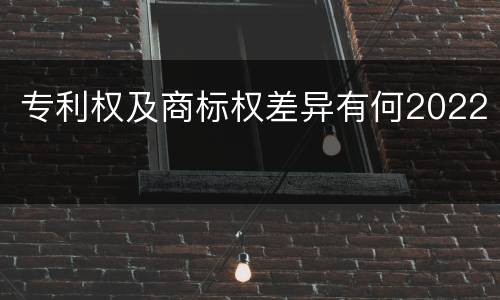 专利权及商标权差异有何2022