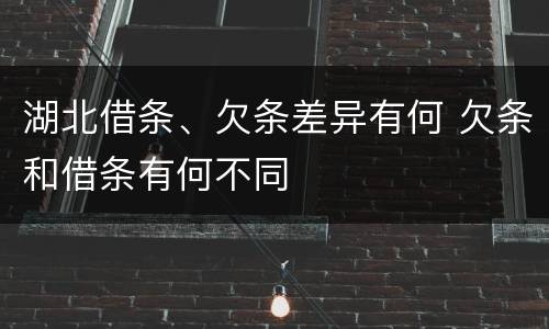 湖北借条、欠条差异有何 欠条和借条有何不同
