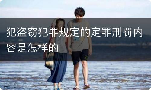 犯盗窃犯罪规定的定罪刑罚内容是怎样的
