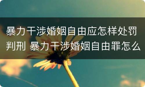暴力干涉婚姻自由应怎样处罚判刑 暴力干涉婚姻自由罪怎么判刑