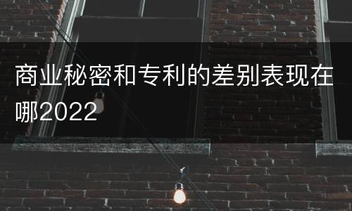 商业秘密和专利的差别表现在哪2022