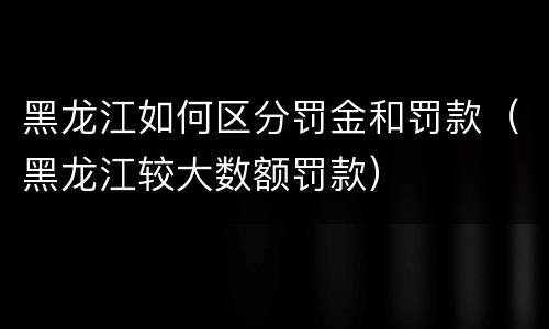 黑龙江如何区分罚金和罚款（黑龙江较大数额罚款）