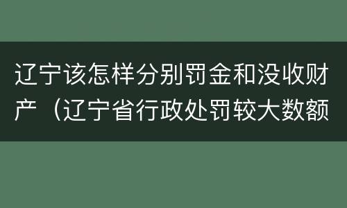 辽宁该怎样分别罚金和没收财产（辽宁省行政处罚较大数额罚款标准）