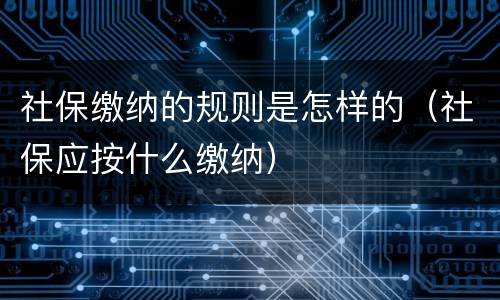社保缴纳的规则是怎样的（社保应按什么缴纳）