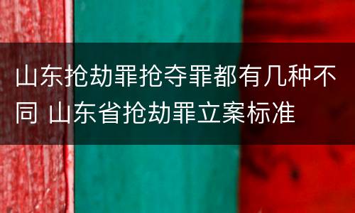 山东抢劫罪抢夺罪都有几种不同 山东省抢劫罪立案标准