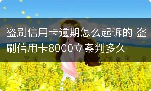 盗刷信用卡逾期怎么起诉的 盗刷信用卡8000立案判多久