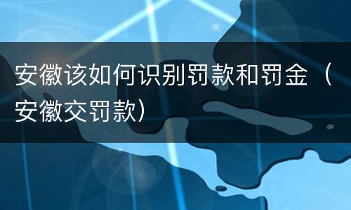 安徽该如何识别罚款和罚金（安徽交罚款）