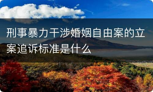 刑事暴力干涉婚姻自由案的立案追诉标准是什么