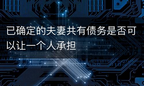 已确定的夫妻共有债务是否可以让一个人承担