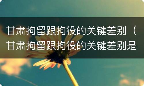 甘肃拘留跟拘役的关键差别（甘肃拘留跟拘役的关键差别是什么）