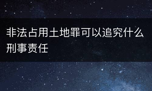 非法占用土地罪可以追究什么刑事责任