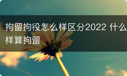 拘留拘役怎么样区分2022 什么样算拘留