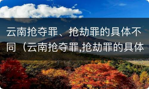 云南抢夺罪、抢劫罪的具体不同（云南抢夺罪,抢劫罪的具体不同行为）