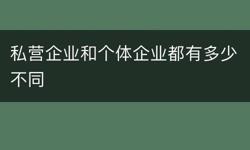 私营企业和个体企业都有多少不同