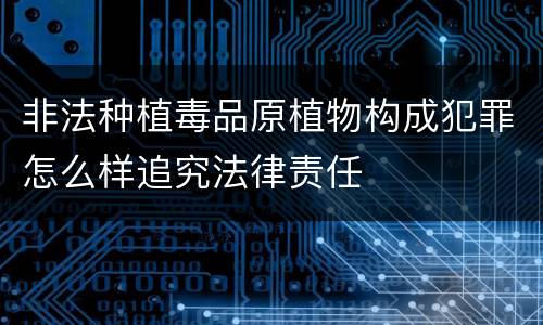 非法种植毒品原植物构成犯罪怎么样追究法律责任
